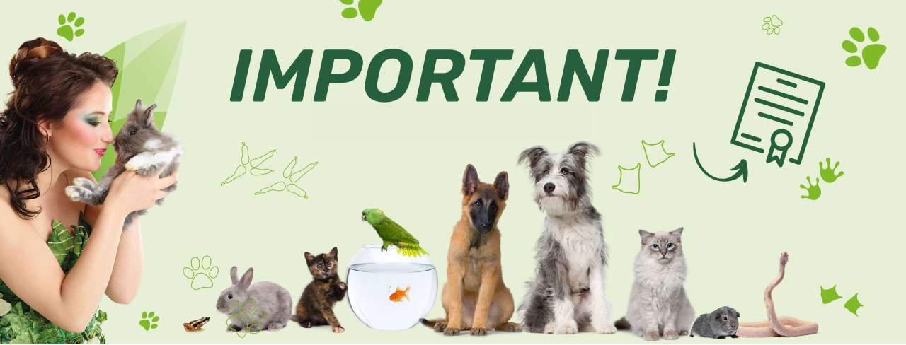 Informations importantes pour l'achat d'un animal de compagnie en Wallonie