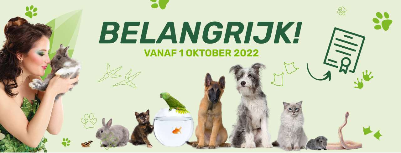 Belangrijke info bij het aanschaffen van een huisdier in Wallonië