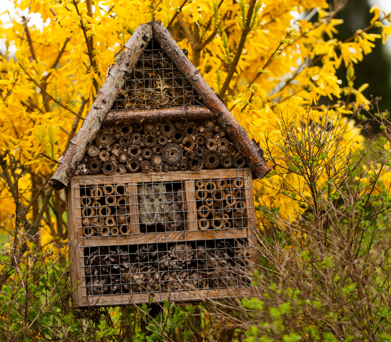 Un grand hôtel à insectes, un endroit abrité et chaud pour les insectes bénins.  