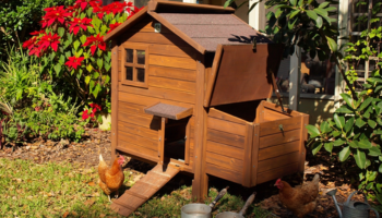 Houten kippenhok in de tuin