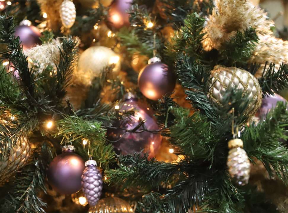 Un Noël en forêt Noël chez Famiflora Famiflora ouvert 7/7