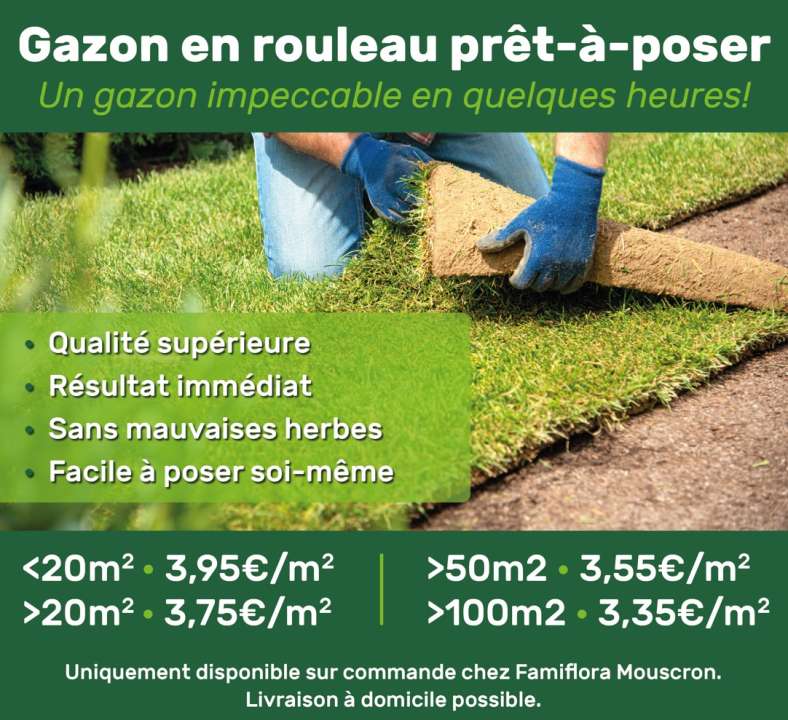 gazon en rouleau prêt à poser Famiflora ouvert 7/7