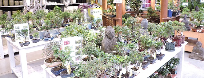 Centre de décoration - Famiflora à Mouscron