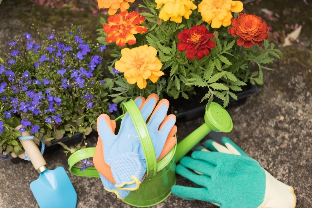 15 conseils de jardinage pour le mois de mai 15 conseils de jardinage pour le mois de mai