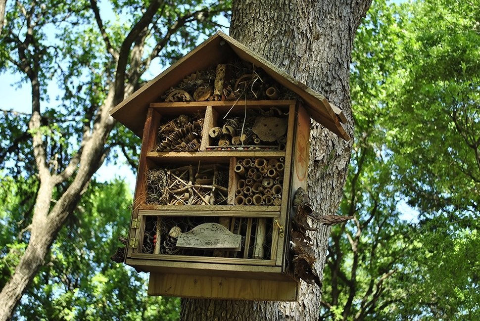 5 conseils pour fabriquer un hôtel à insectes - Famiflora ouvert 7/7