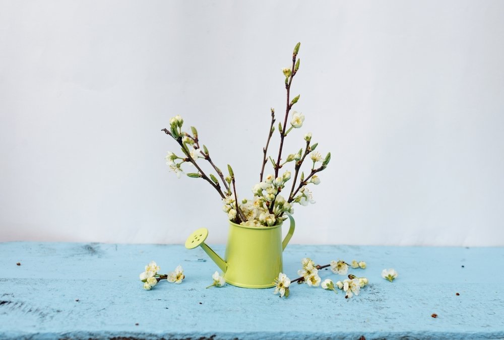 Branches en fleurs : rentrez le printemps dans la maison Branches en fleurs : rentrez le printemps dans la maison