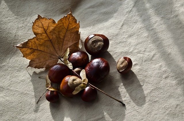 Bricolages avec des marrons Bricolages avec des marrons