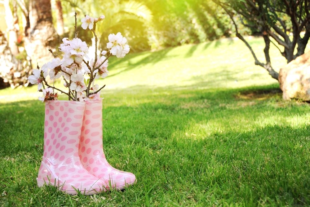 Conseils flamboyants pour le mois de mars pour la maison et le jardin Conseils flamboyants pour le mois de mars pour la maison et le jardin
