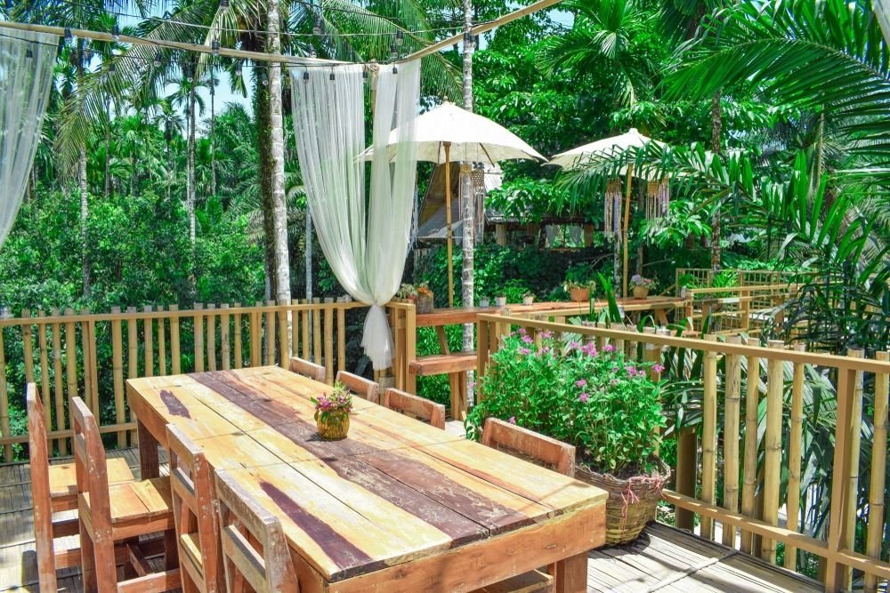 Créez votre propre jungle dans votre maison et votre jardin Créez votre propre jungle dans votre maison et votre jardin