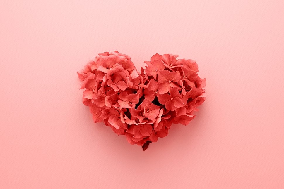 Des fleurs pour la Saint Valentin Des fleurs pour la Saint Valentin