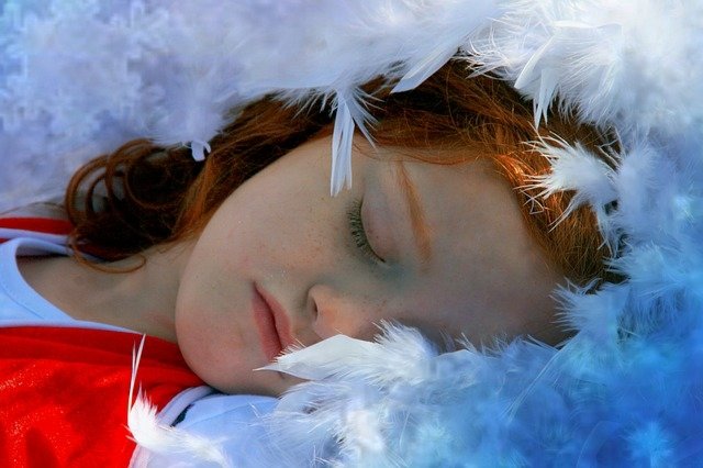 Des plantes de rêve dans votre chambre à coucher Des plantes de rêve dans votre chambre à coucher