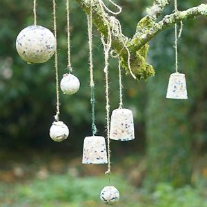 Faites des boules de graisse pour oiseaux vous-même Faites des boules de graisse pour oiseaux vous-même