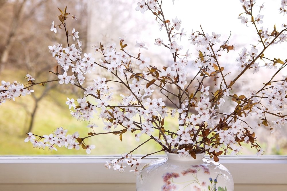 Faites entrer le printemps dans votre maison avec des branches fleuries Faites entrer le printemps dans votre maison avec des branches fleuries
