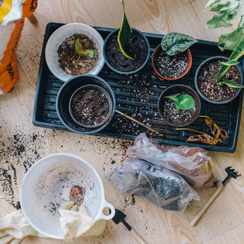 Ingrédients Pour Le Sol Des Plantes En Pot Maison Tourbe Terre Sable Perlite  Vermiculite Noix De Coco Un Mélange Pour Planter Des Plantes Dans Un Pot