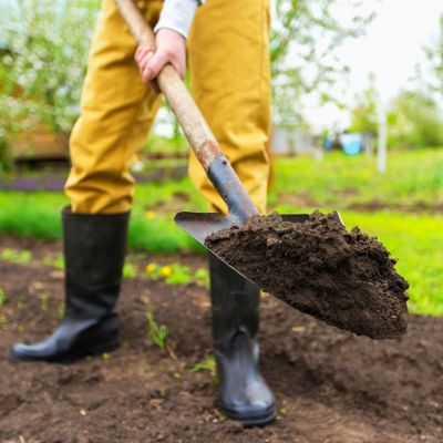 Préparer le potager pour le semis et la plantation