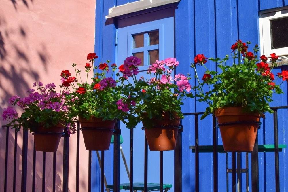 Soignez vos plantes d'intérieur en hiver - Gamm vert