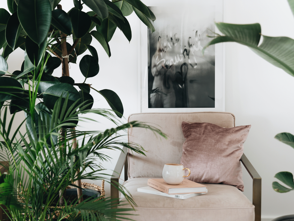 XL, tendance de l'année XL, tendance de l'année