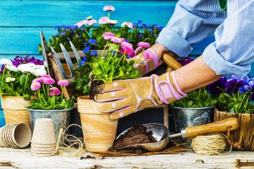 11 conseils de jardinage pour mai