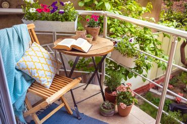 15 conseils de jardinage juillet