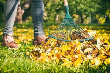 15 conseils de jardinage pour décembre