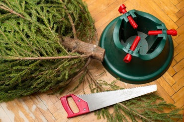 5 conseils pour l'entretien de votre arbre de Noël