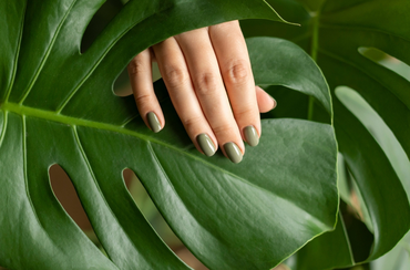 5 problèmes les plus courants avec les plantes. Et comment les résoudre