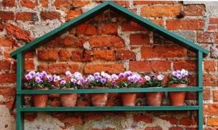 7 zomertips voor een fleurig terras en balkon