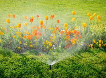 9 astuces pour l’eau dans le jardin