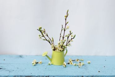 Branches en fleurs : rentrez le printemps dans la maison
