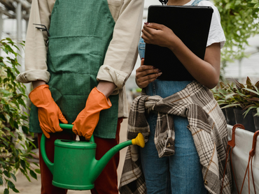Combien de fois faut-il arroser les plantes d'intérieur ?