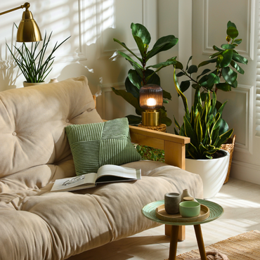 Les grandes tendances plantes d’intérieur pour 2026