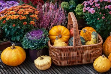 Des bacs aux couleurs de l'automne