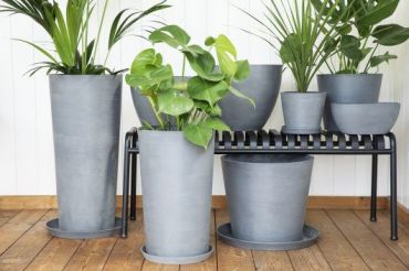 Ecopots, tendance, intemporelle et durable
