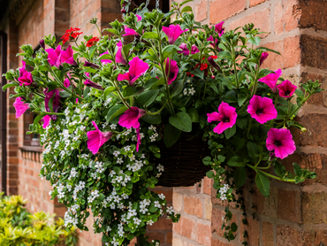 Een hanging basket is als een zwevende tuin