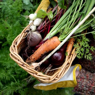 En avant pour un beau potager