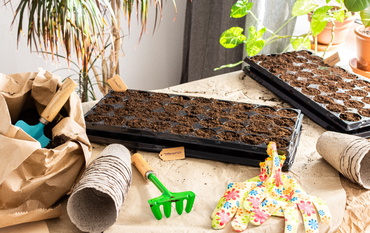 Et si vous commenciez vos semis de printemps ?