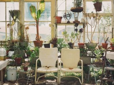 Faut-il délaisser ses plantes d’extérieur, les entretenir ou les rentrer?