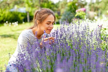 Heerlijke zomergeuren: aromatische planten voor in de tuin of op het terras