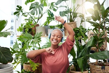 Plantes d’intérieur en été : offrez-leur les soins tropicaux qu’elles méritent