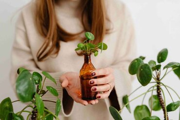 Kamerplanten voor kleine ruimtes