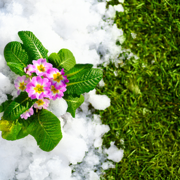 Klaar voor de lente: maak je tuin gereed voor het groeiseizoen!