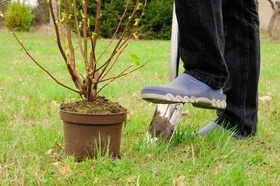 L'automne est un second printemps pour le jardin !