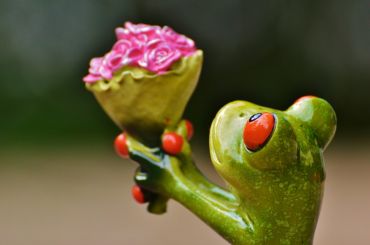 La Saint-Valentin : des fleurs, des cartes et d’autres jolies choses !