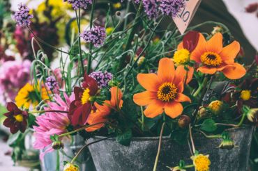 Les fleurs d’été en pot : un foisonnement immédiat de couleurs !