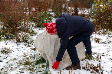 Protégez vos plantes du gel et aidez-les à passer l'hiver