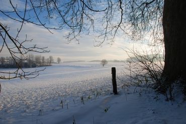 Que faire dans votre jardin en décembre ?