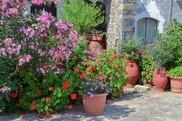 Saints de Glace : soigner les plantes en pots et en bacs