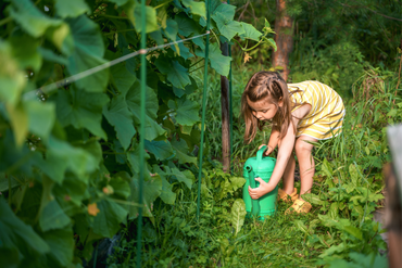 Semez maintenant, récoltez bientôt : nos astuces pour le potager de fin d’été