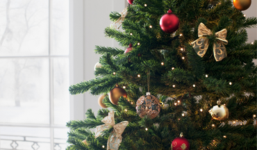 Tips om je natuurlijke kerstboom groen langer te houden