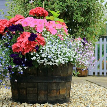 Tuinieren in potten en bakken: creëer een groene oase op je balkon